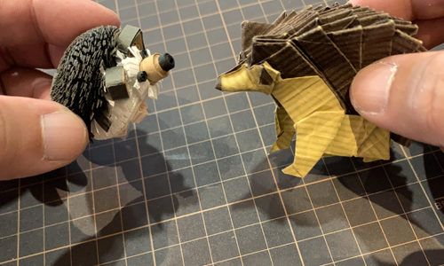 いろいろハリネズミ！