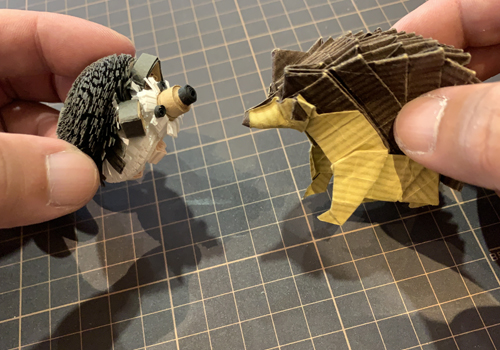 いろいろハリネズミ!