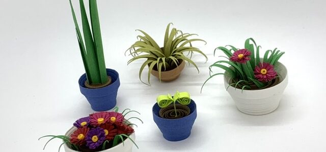 小さな鉢植えキット発売しました！
