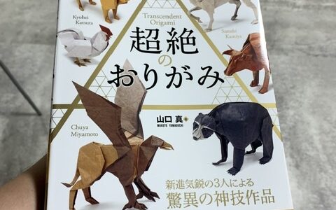 「超絶のおりがみ」が発売されました！